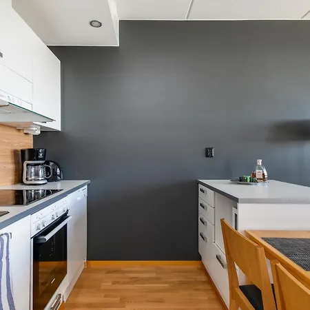 Levi 1607 Ski-in Ski-out With Mountain View And With 2 Skipasses *