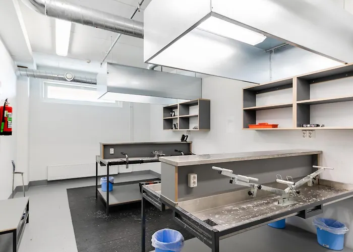 Levi 1607 Ski-in Ski-out With Mountain View And With 2 Skipasses Kittilä