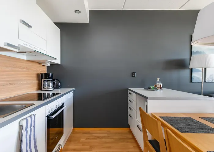 Levi 1607 Ski-in Ski-out With Mountain View And With 2 Skipasses *