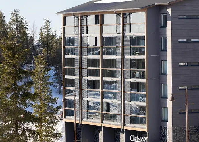 Levi 1607 Ski-in Ski-out With Mountain View And With 2 Skipasses *